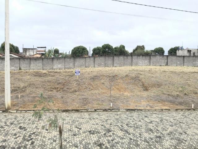 #255 - Área para Venda em Visconde do Rio Branco - MG