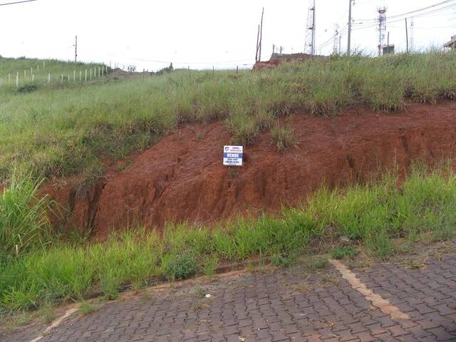 #311 - Área para Venda em Visconde do Rio Branco - MG