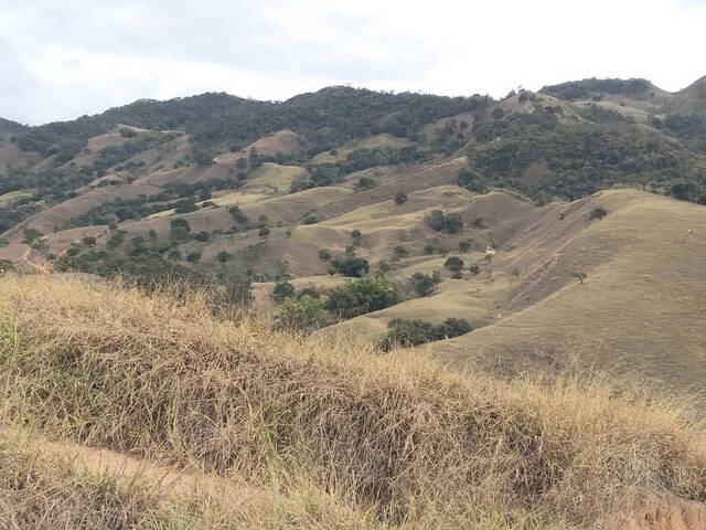 Área para Venda em Visconde do Rio Branco - 5