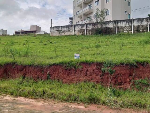 VISTA LOTE
