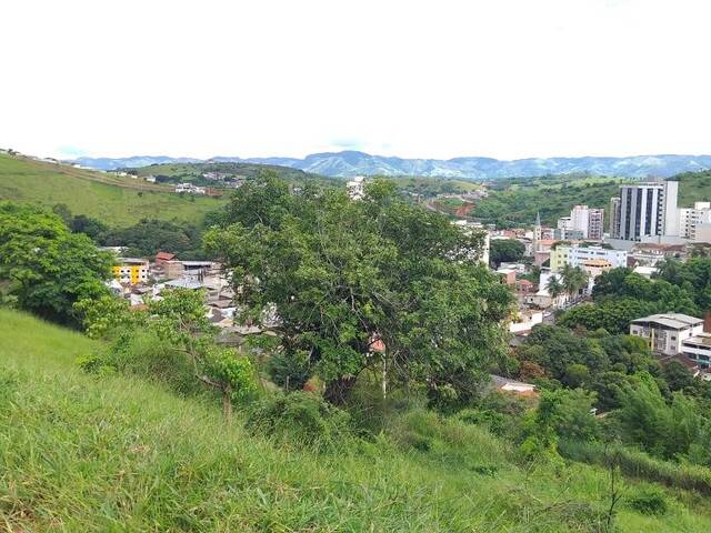 Área para Venda em Visconde do Rio Branco - 3