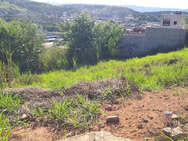 LOTE 325M²