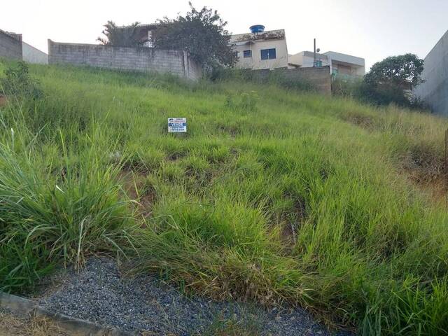 LOTE