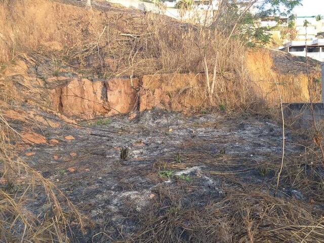 Área para Venda em Visconde do Rio Branco - 2