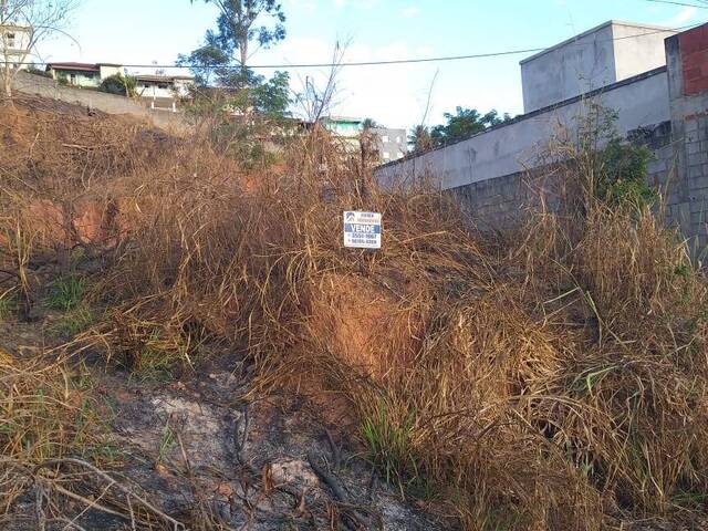Área para Venda em Visconde do Rio Branco - 4