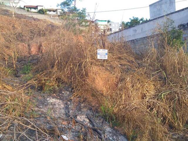 Área para Venda em Visconde do Rio Branco - 3