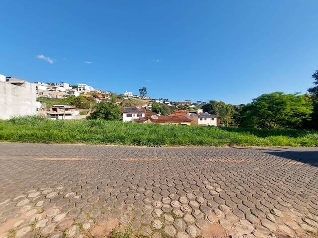 VISTA FRONTAL