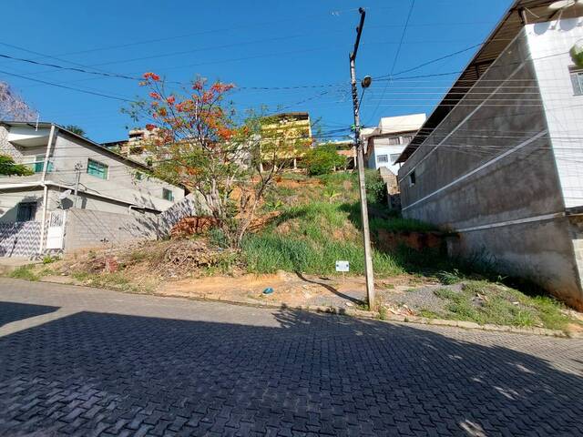 Área para Venda em Visconde do Rio Branco - 3