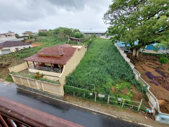 TERRENO PLANO