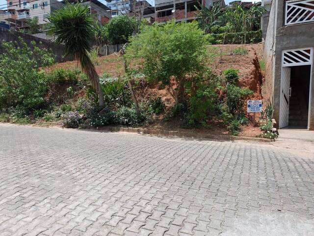 Área para Venda em Visconde do Rio Branco - 5