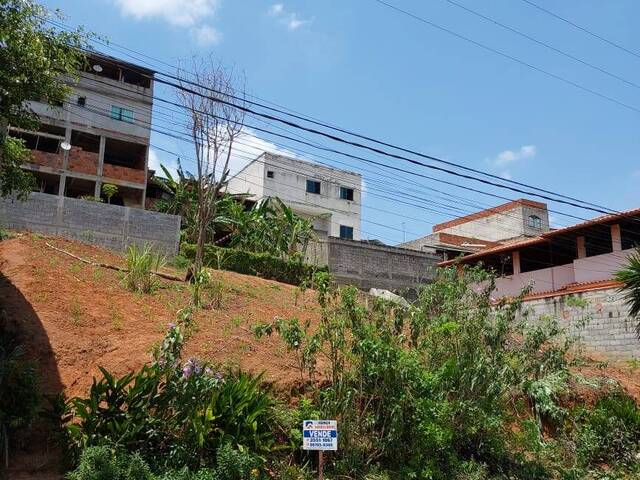 Área para Venda em Visconde do Rio Branco - 4