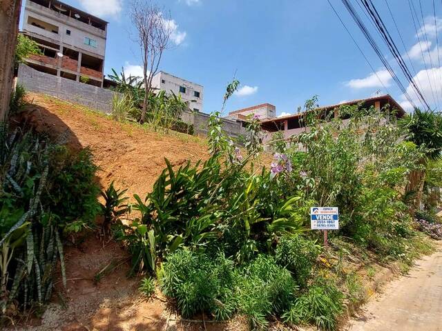 Área para Venda em Visconde do Rio Branco - 2