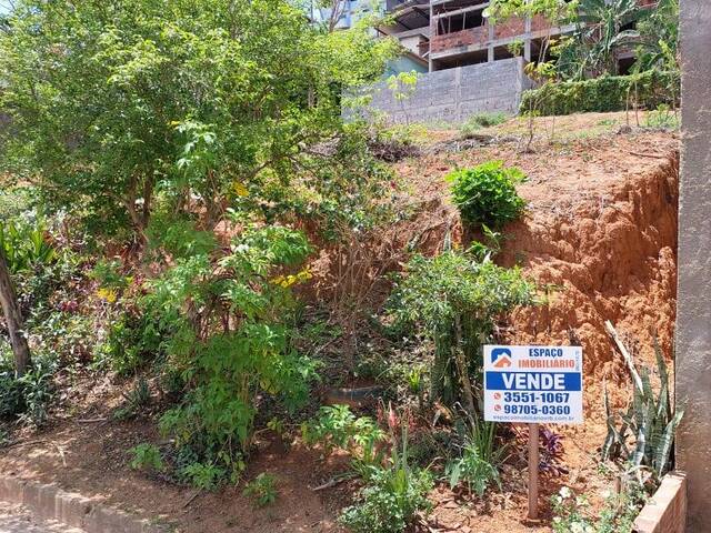 Área para Venda em Visconde do Rio Branco - 3