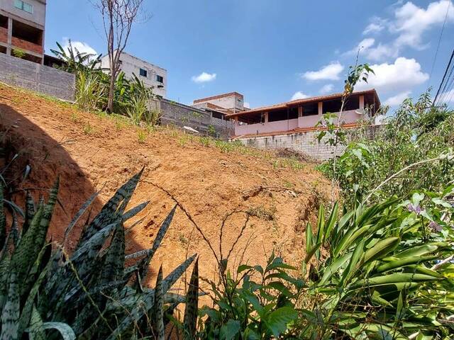 Área para Venda em Visconde do Rio Branco - 4