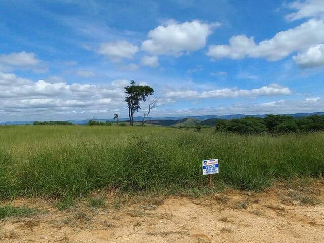 TERRENO PLANO