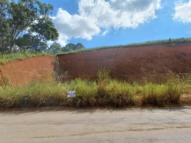 #565 - Área para Venda em Visconde do Rio Branco - MG
