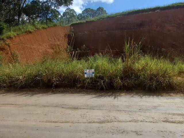 #565 - Área para Venda em Visconde do Rio Branco - MG