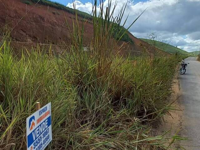 #565 - Área para Venda em Visconde do Rio Branco - MG