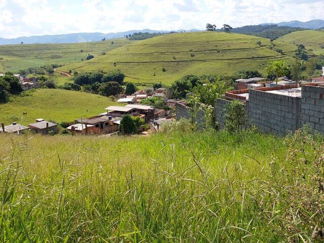 VISTA PANORÂMICA