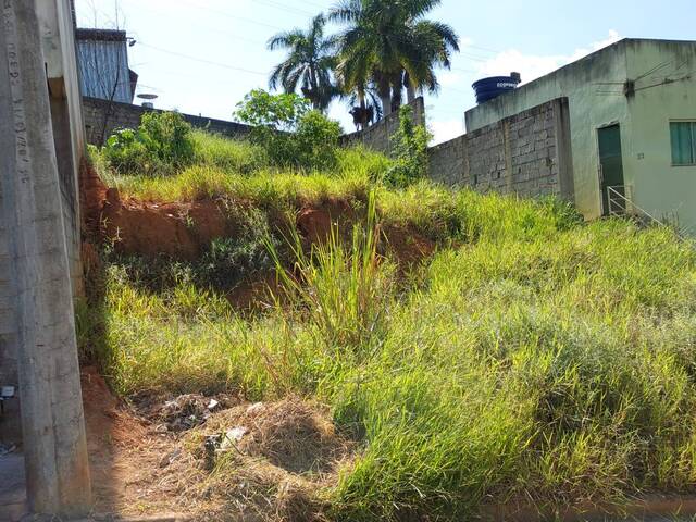 Área para Venda em Visconde do Rio Branco - 3