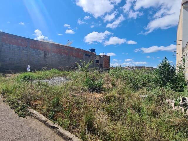 Área para Venda em Visconde do Rio Branco - 4