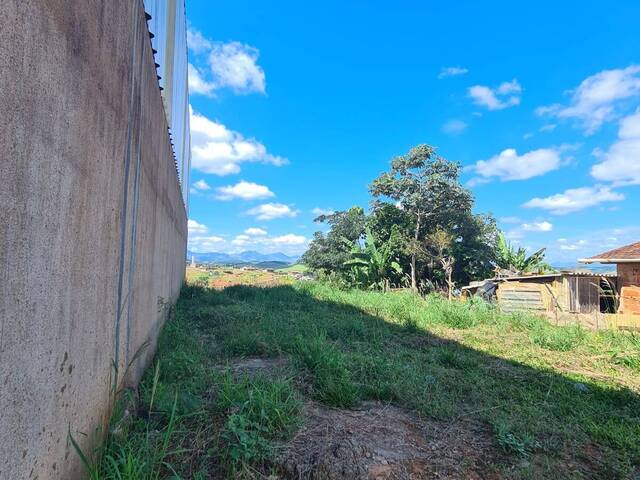 Área para Venda em Visconde do Rio Branco - 3