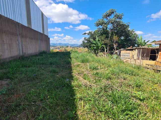 Área para Venda em Visconde do Rio Branco - 4