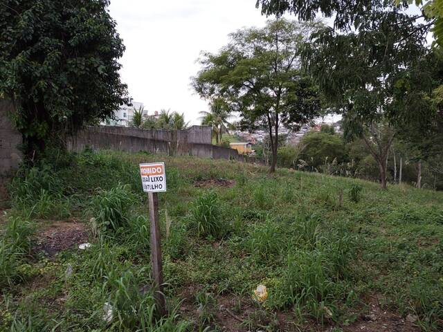 ÁREA TOTAL 403562m²