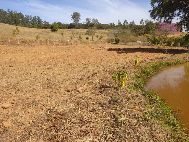 TERRENO PLANO