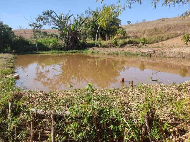 Área para Venda em Visconde do Rio Branco - 4