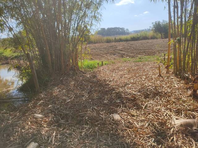 Área para Venda em Visconde do Rio Branco - 5