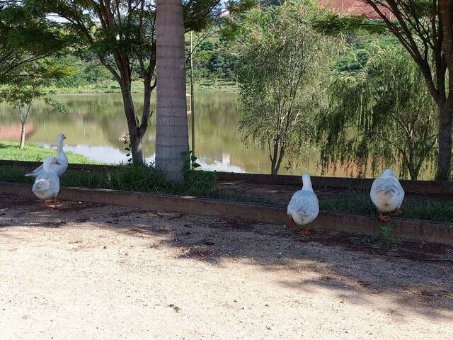 LAGOA CONDOMÍNIO