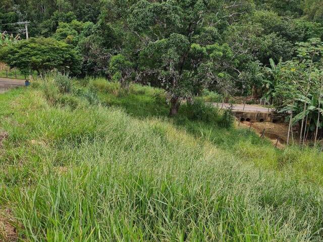 #600 - Área para Venda em Visconde do Rio Branco - MG