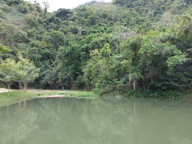 Área para Venda em Visconde do Rio Branco - 5