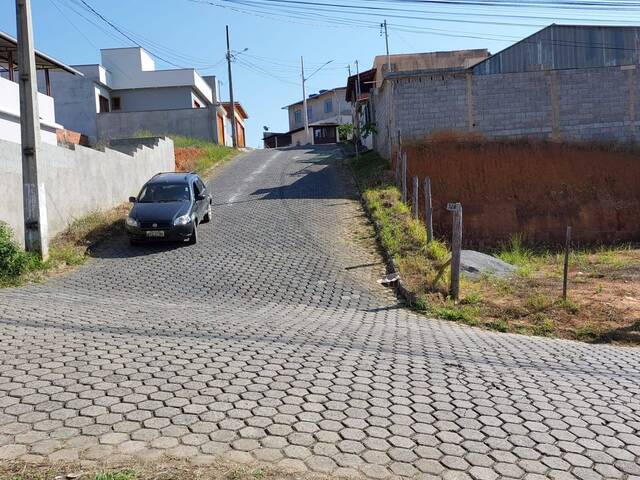 VISTA FRONTAL