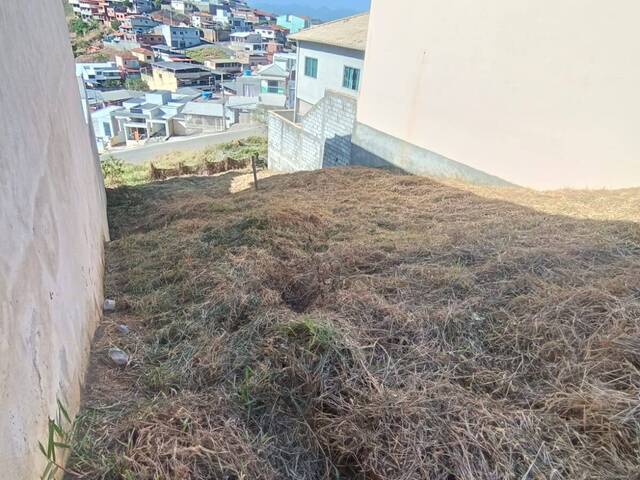 VISTA TERRENO