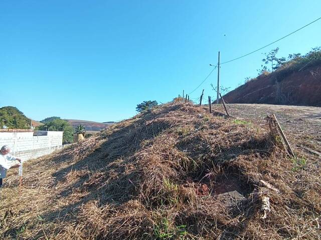 #646 - Área para Venda em Visconde do Rio Branco - MG