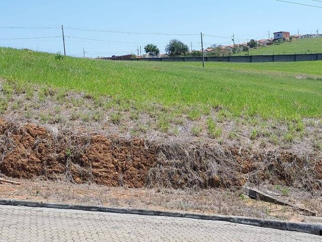 Área para Venda em Visconde do Rio Branco - 5