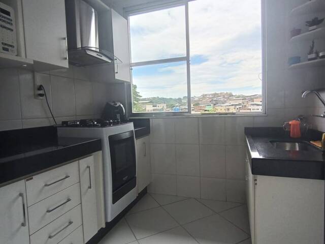 Apartamento para Venda em Visconde do Rio Branco - 3