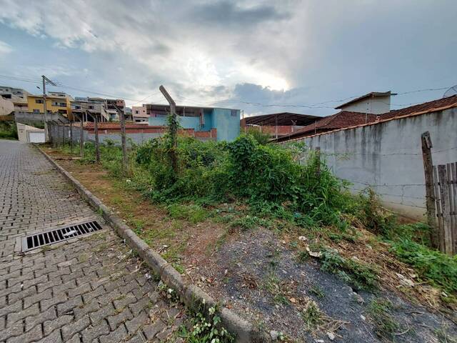 Área para Venda em Visconde do Rio Branco - 5