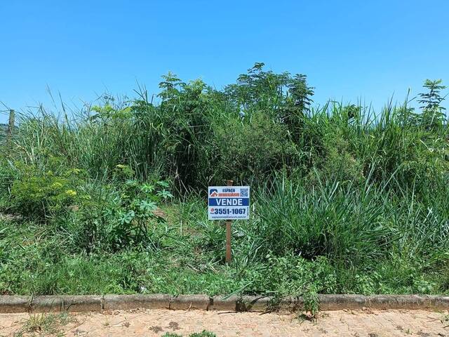 Área para Venda em Visconde do Rio Branco - 4