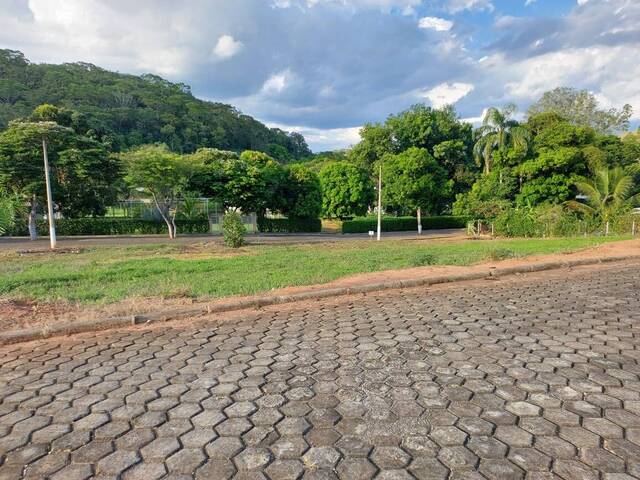 VISTA FRONTAL
