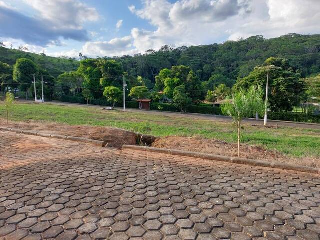 VISTA FRONTAL