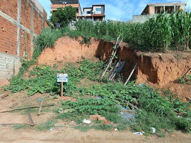 Venda em Nova Rio Branco - Visconde do Rio Branco