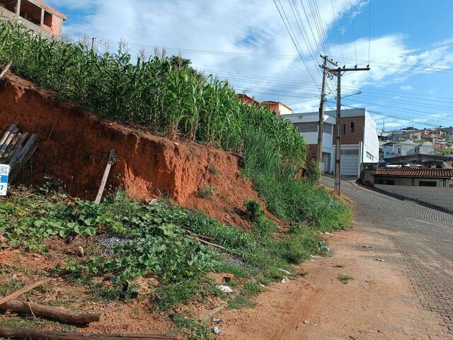 Área para Venda em Visconde do Rio Branco - 4