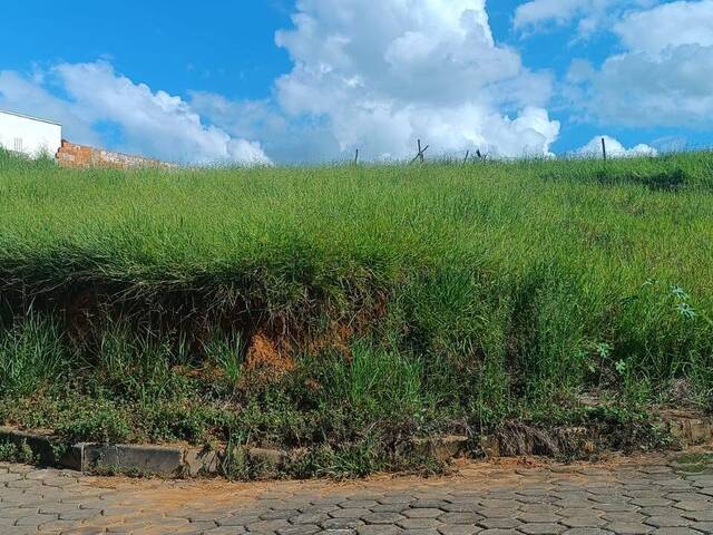 Área para Venda em Visconde do Rio Branco - 3