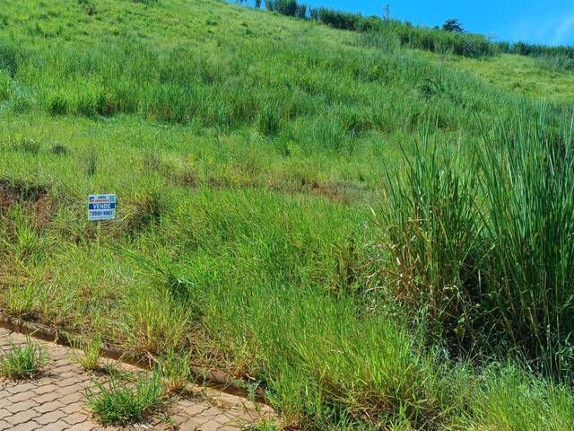 Área para Venda em Visconde do Rio Branco - 5