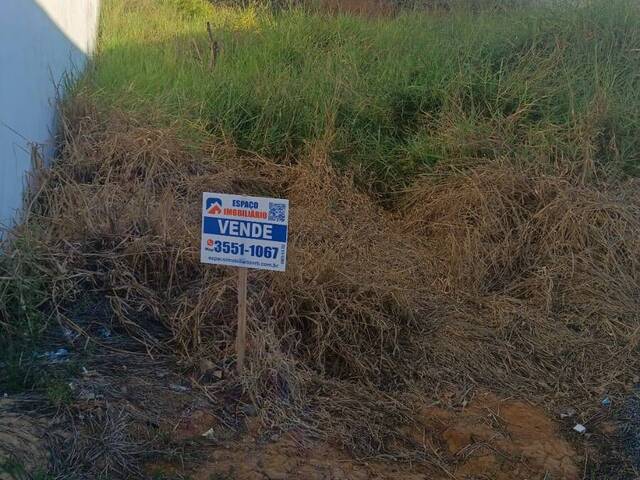 Área para Venda em Visconde do Rio Branco - 5