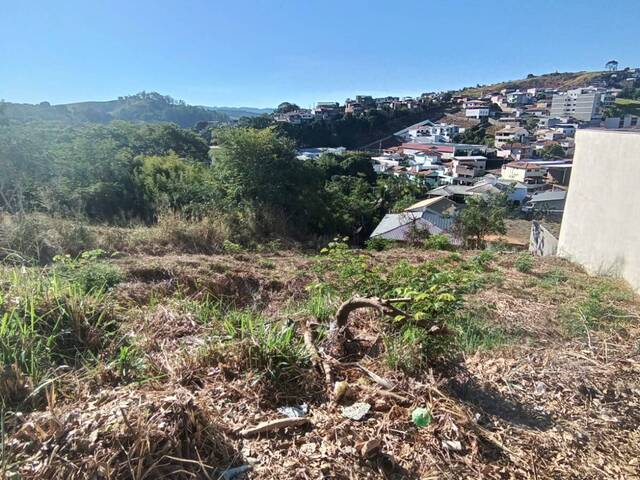 Área para Venda em Visconde do Rio Branco - 4