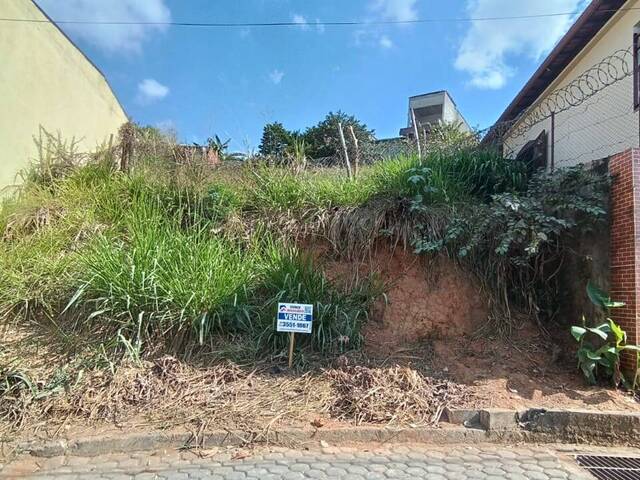 Área para Venda em Visconde do Rio Branco - 2